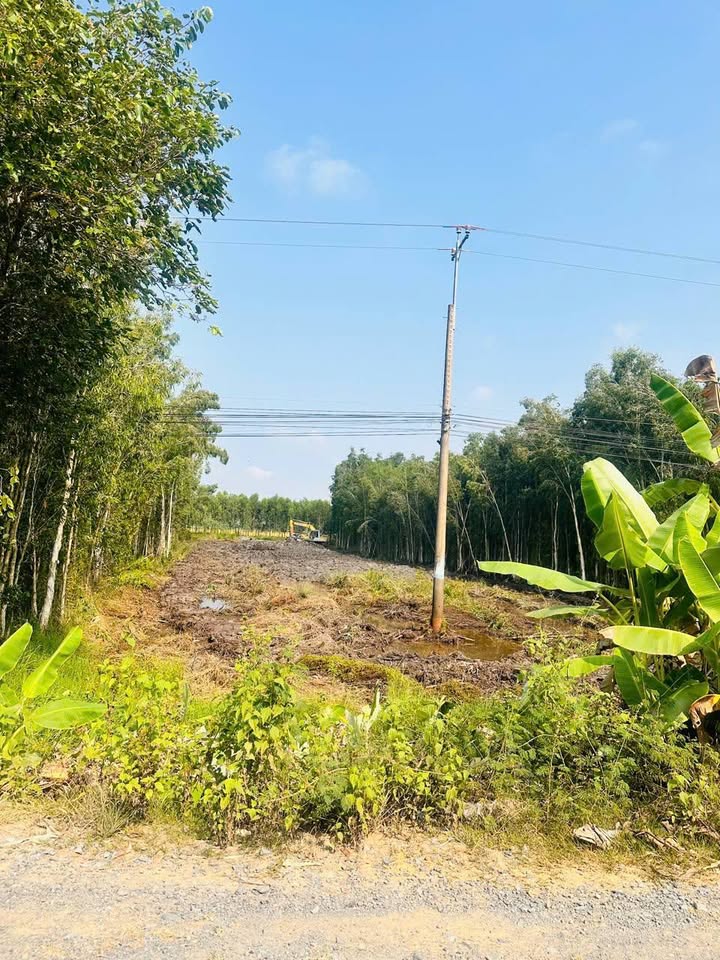 Đất 2 công tại ấp Đôn A, xã Thuận Bình, Thạnh Hóa - Giá 1.28 tỷ - Đầu tư sinh lời!