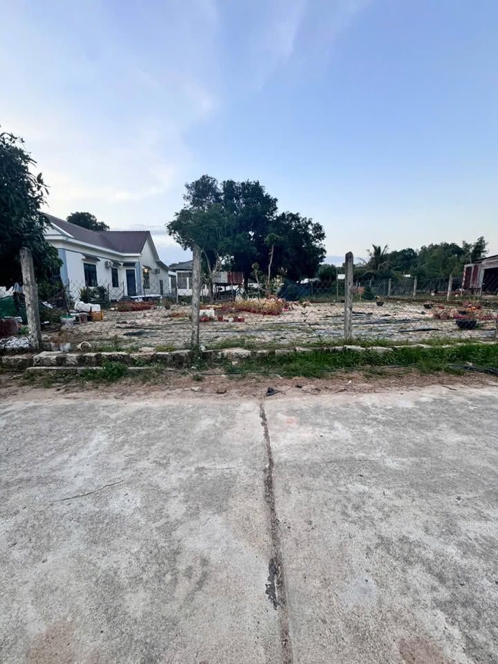 Đất thổ cư tại Thôn Thống Nhất, Cam Phước Đông 260m² giá chỉ 999 triệu - Cơ hội đầu tư hấp dẫn!