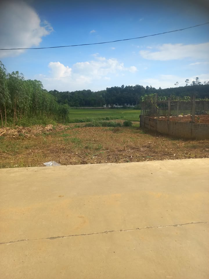 Đất thổ cư 200m² tại Quảng Yên, Thanh Ba - Chính chủ bán gấp!