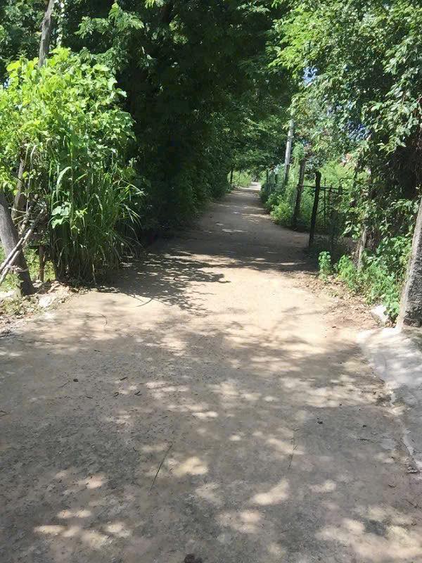 Đất nền 2,5 sào thổ cư 400m² tại thôn Dân Lễ, Hàm Thuận Bắc - Giá chỉ 800 triệu!