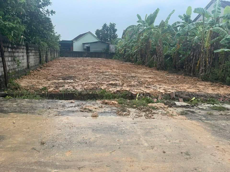 Đất nền Hòa Sơn - Đô Lương 230m² giá 700 triệu - Đường ô tô tránh nhau rộng rãi!