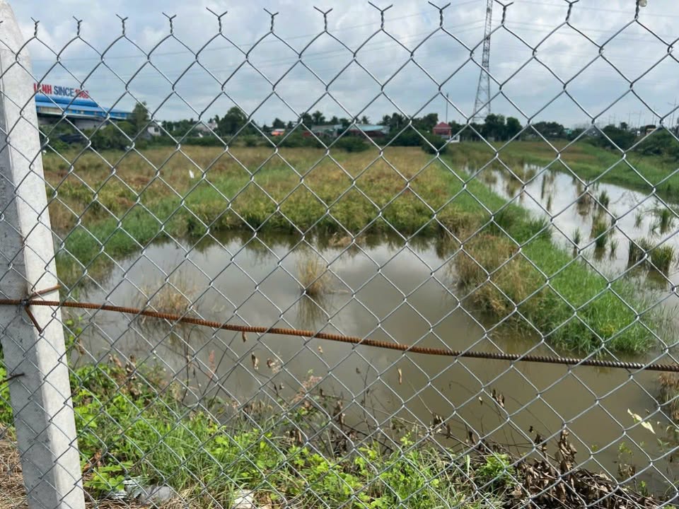Đất lúa Ấp 1 xã Tân Kiên 1800m² giá 5.3 tỷ - Sổ hồng riêng, vị trí thuận lợi!