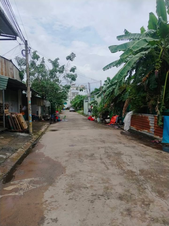 Đất nền Phú Hữu, Thủ Đức 800m² giá 20 tỷ - Đầu tư sinh lời lý tưởng!