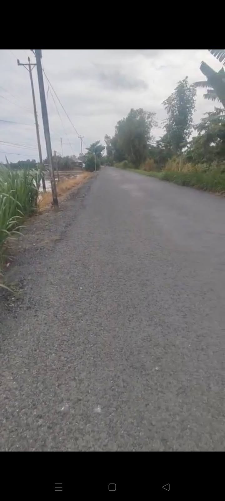 Đất thổ cư Gáo Giồng 1000m² giá 2.75 tỷ - Sổ đỏ chính chủ, vuông vức đẹp!