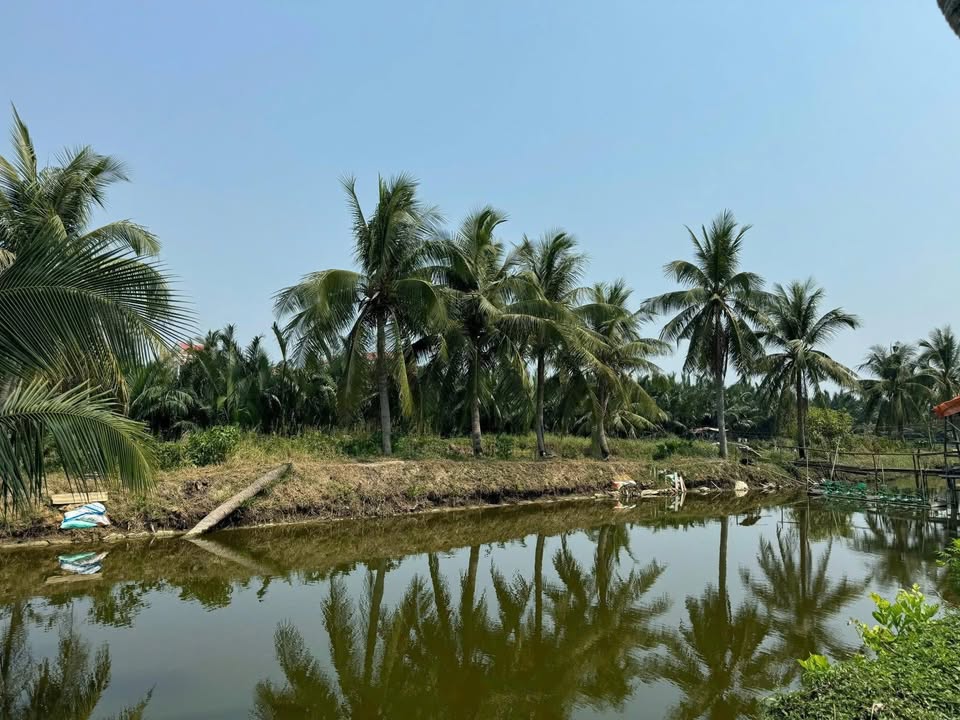 Đất đẹp Cẩm Thanh 780m² giá thương lượng - Đầu tư sinh lời ngay!