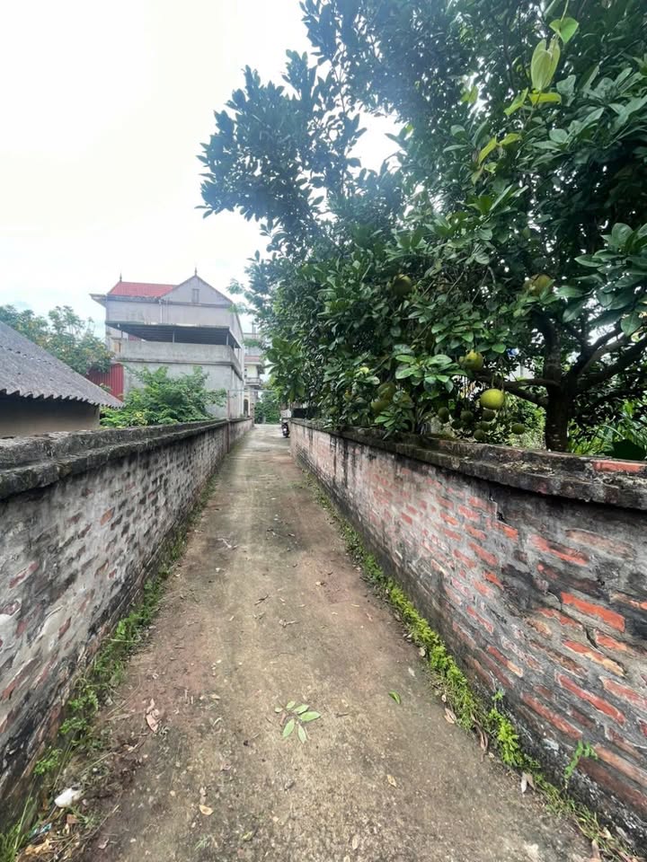 Đất nền phường Tự Nhiên, Thường Tín 42m² giá 1.1 tỷ - Ngay gần chợ, ô tô đỗ cửa!