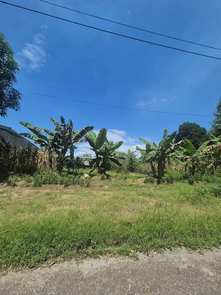 Đất nền tái định cư Hợp Xuân, Bảo Thắng 100m² giá chỉ 400 triệu - Cơ hội đầu tư vàng!