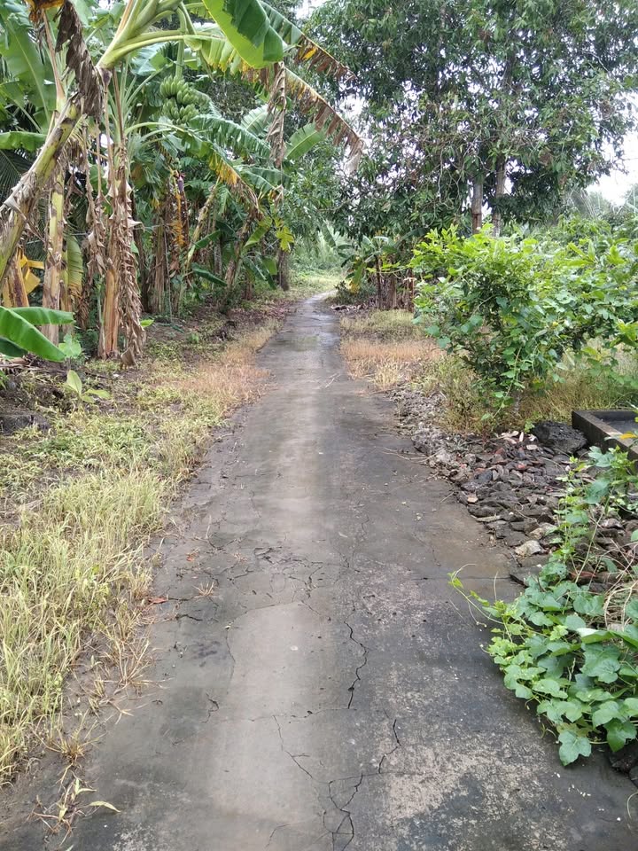 Đất nền chính chủ xã Châu Hưng A, 1260m² giá 31.5 tỷ - Hỗ trợ trả góp không lãi suất!