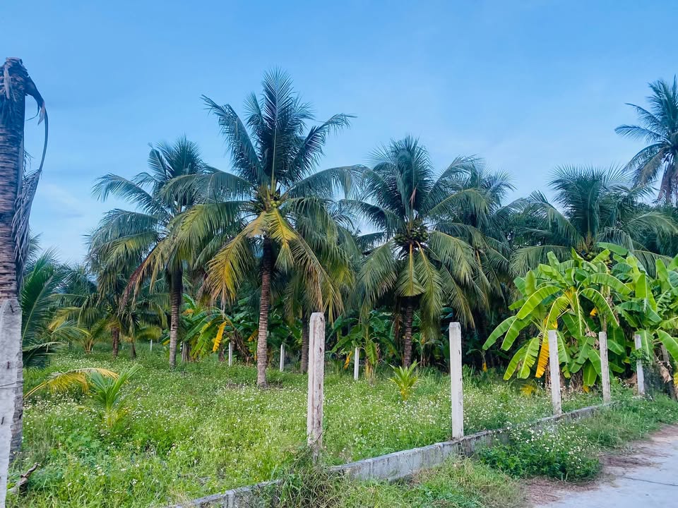 Đất nền 1014m² tại TDP Hoà An, Cam Ranh giá 85 tỷ - Sổ hồng chính chủ!