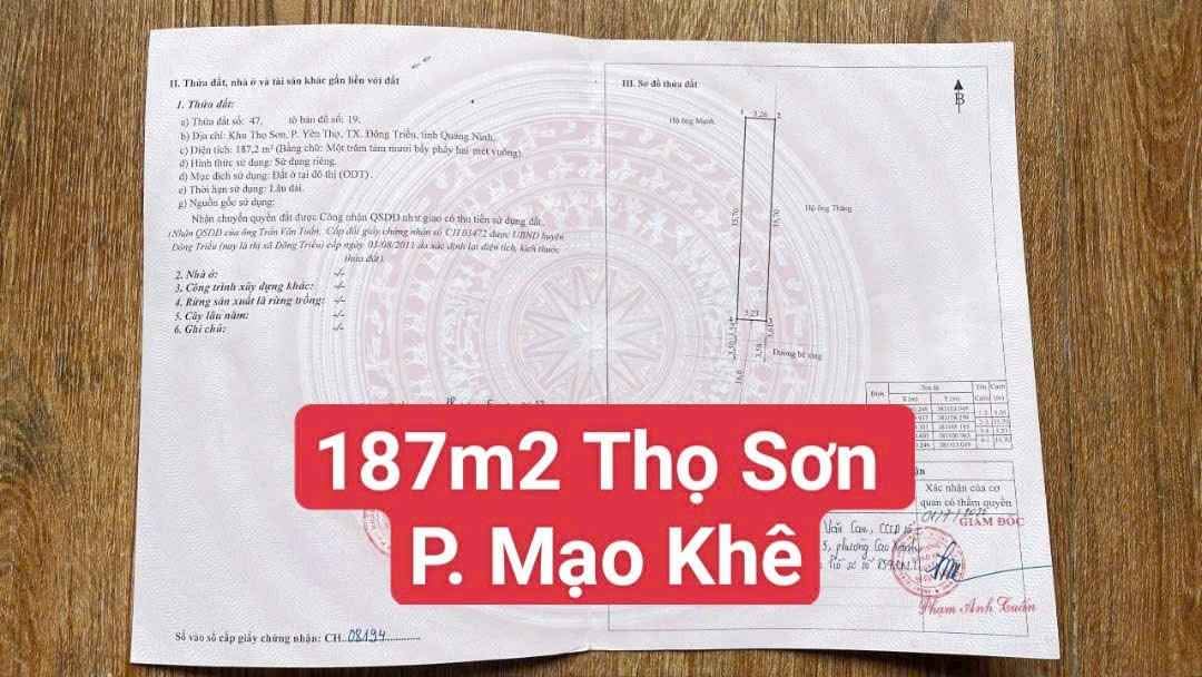 Đất ở đô thị 187m² tại Đông Triều chỉ 800 triệu - Cơ hội đầu tư tuyệt vời!