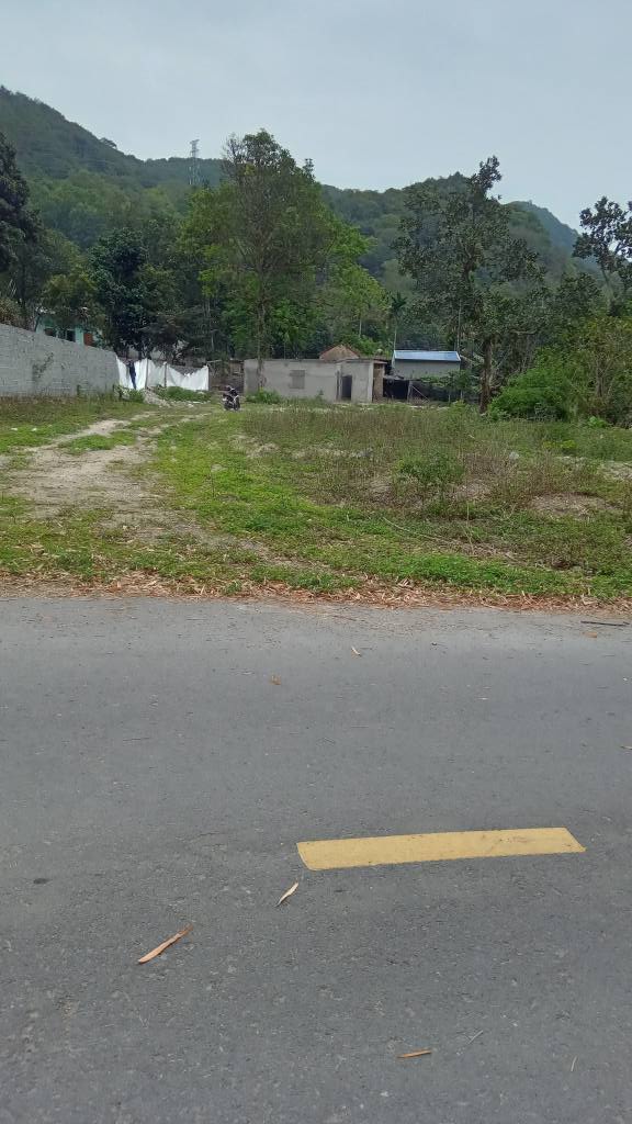 Bán đất mặt đường Trân Châu, Cát Bà, Hải Phòng 1000m² giá 9.2 tỷ - Đầu tư sinh lời tiềm năng!