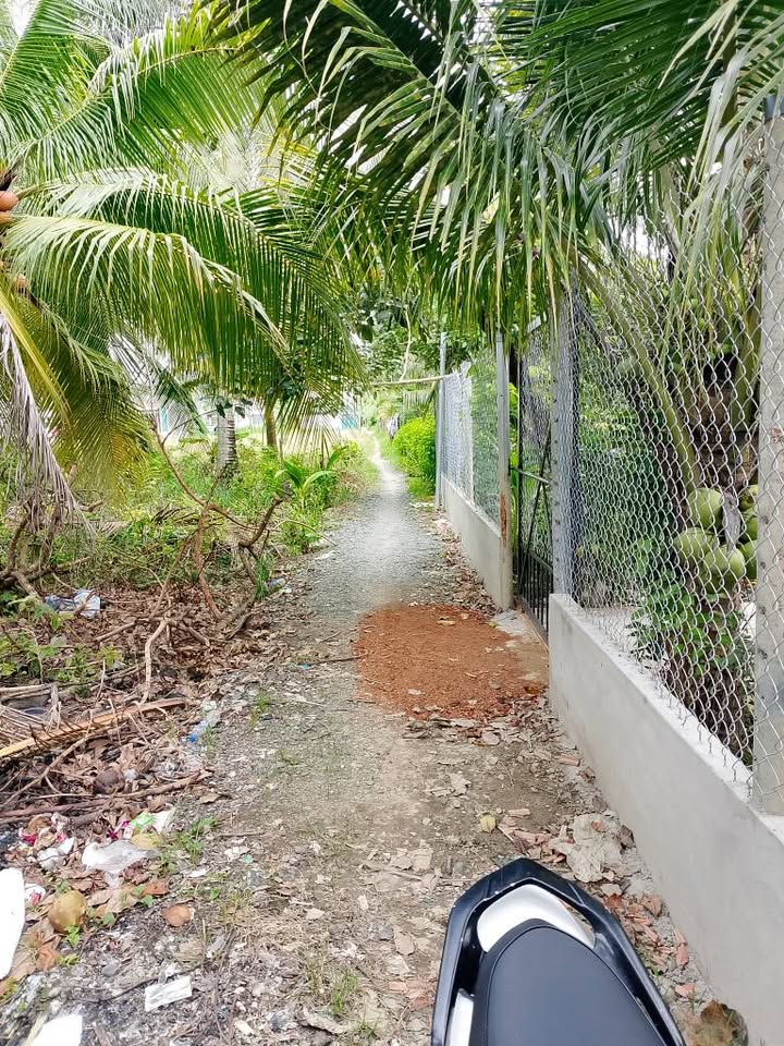 Đất nền 1300m² tại ấp 1, xã Trung An, Mỹ Tho - Bán gấp chỉ 2.1 tỷ!