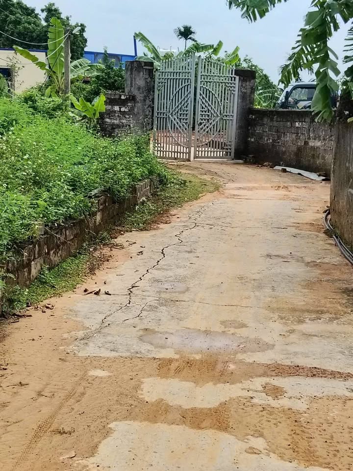 Đất nền Kỳ Sơn Thủy Nguyên 115m² giá 450 triệu - Cơ hội đầu tư lý tưởng!