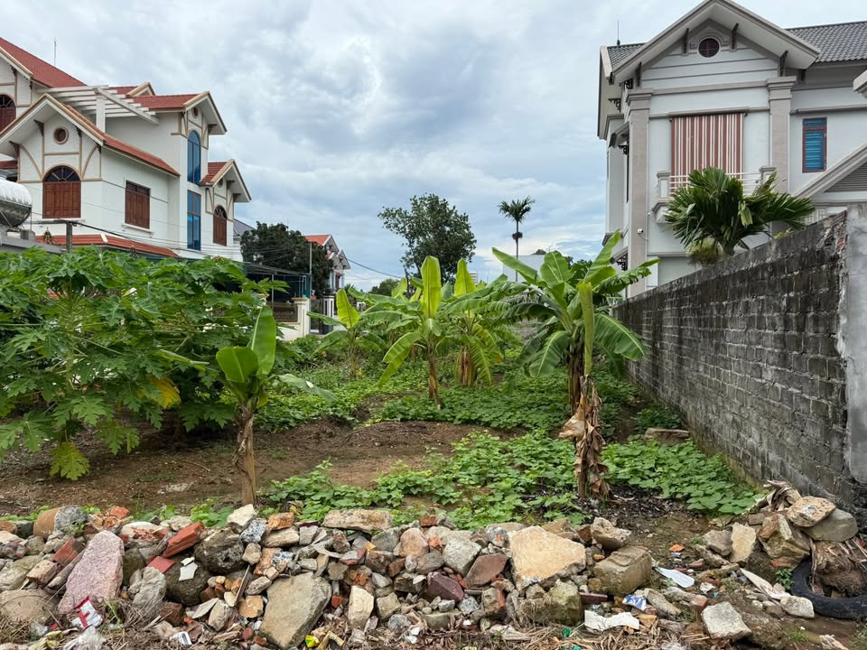 Đất góc trục chính Đồi Thông, Chí Linh, 140m² giá 2 tỷ - Cơ hội đầu tư tuyệt vời!