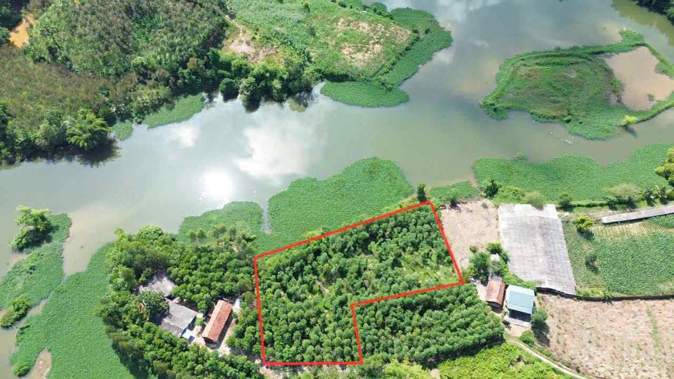 Farm nghỉ dưỡng Tam Tiến Bắc Giang 2300m² giá thỏa thuận - View sông tuyệt đẹp!