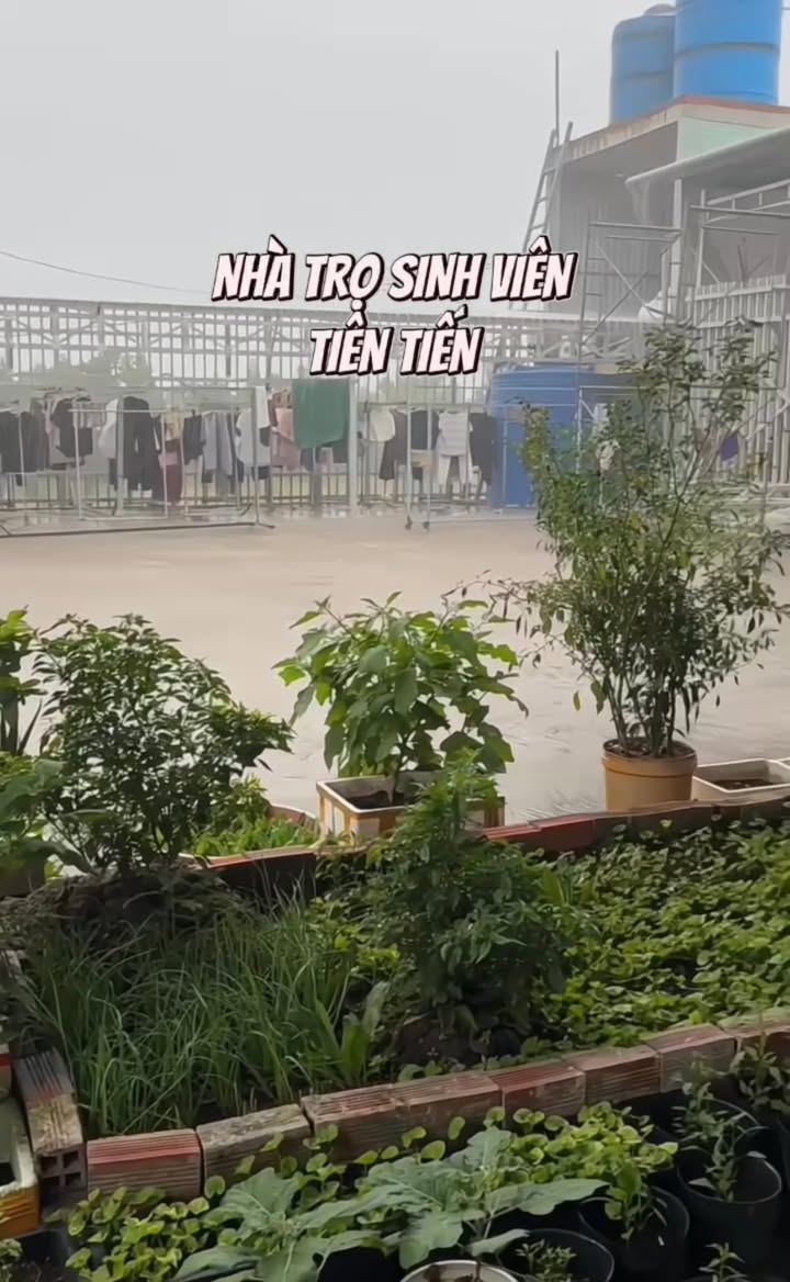 Phòng trọ cho thuê tại Cần Thơ 24m² - Gần Đại học Nam Cần Thơ chỉ 1km!