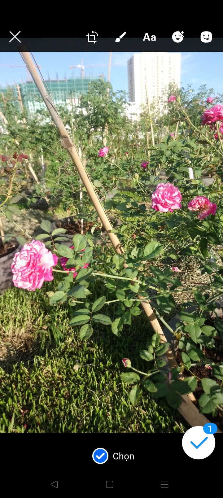 Đất hẻm ô tô đường Ba Cu, TP Vũng Tàu 111.7m² giá 7.4 tỷ - Cơ hội đầu tư tuyệt vời!