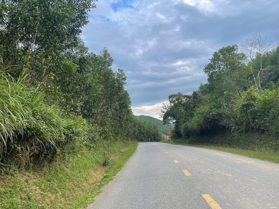 Đất rừng 58 sào tại xã Sơn Mai, huyện Minh Long - Giá chỉ 1.16 tỷ VND