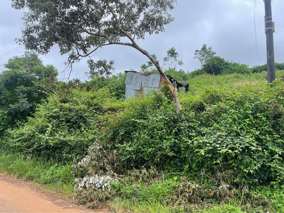 Bán đất mặt tiền Nguyễn Viết Xuân 516m² giá 2.6 tỷ - View hồ đồi chè tuyệt đẹp!