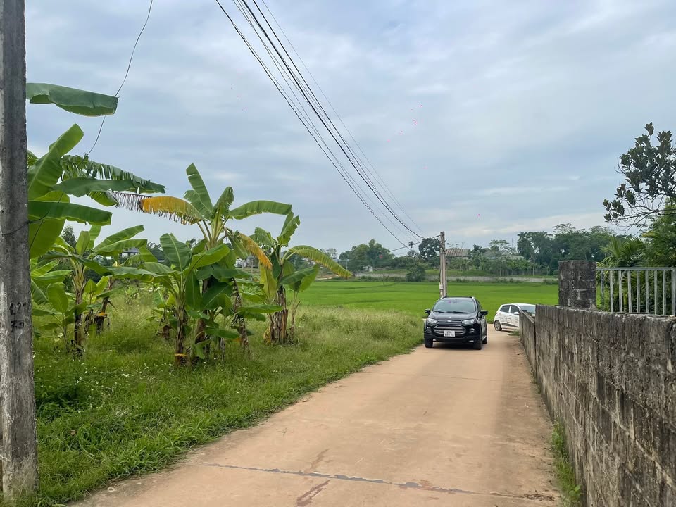 Đất nền Mãn Chiêm, Hồng Tiến 250m² giá 1 tỷ - Tiềm năng đầu tư cao!