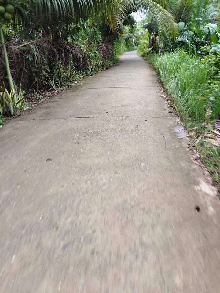 Đất Tân Thành Bình, Mỏ Cày Bắc 1669m² giá 1.1 tỷ - Đường ô tô vào tận nơi!