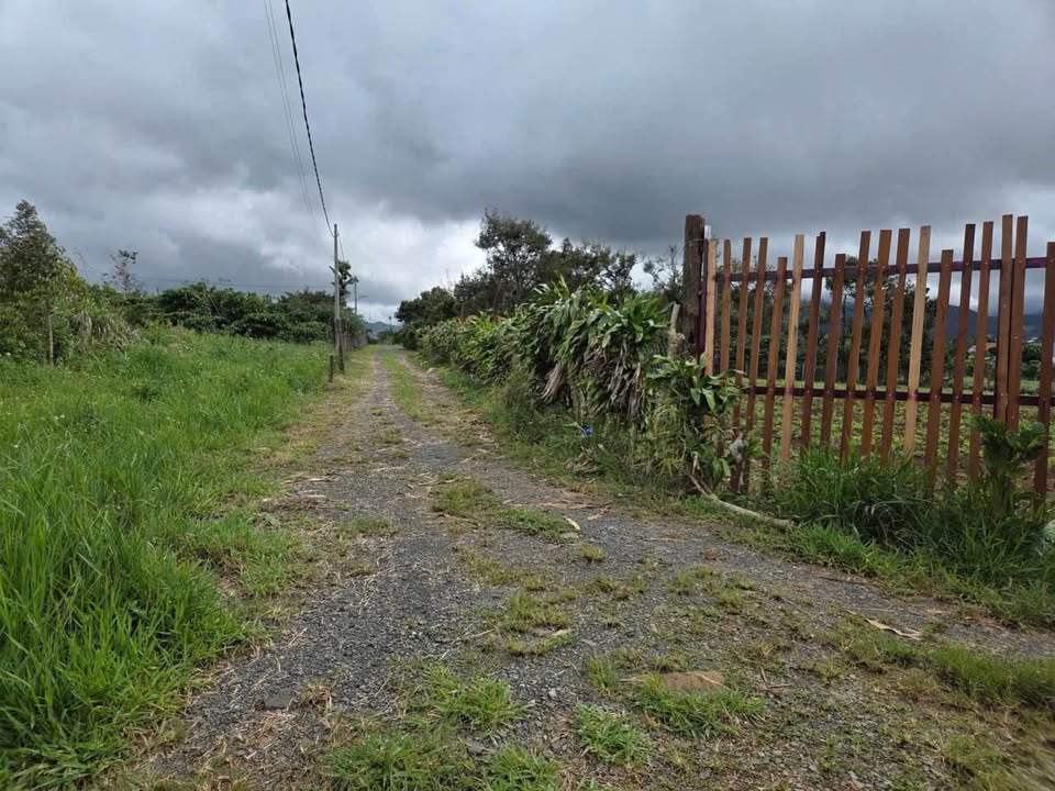 Đất thổ cư Lê Thị Riêng, Bảo Lộc 50m² giá 1.65 tỷ - Cơ hội đầu tư hấp dẫn!