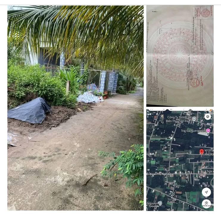 Đất nền CLN Phước Thạnh, Mỹ Tho 100m² giá 250 triệu - Cơ hội đầu tư hấp dẫn!