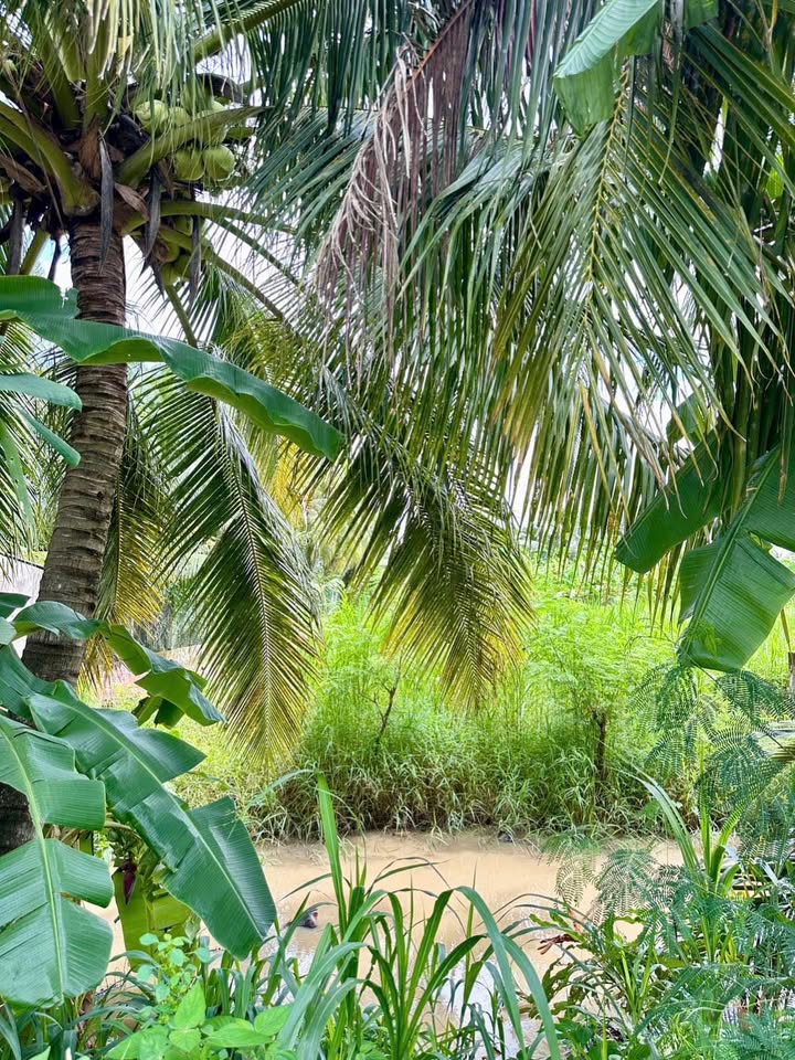 Đất 2 Mặt Tiền View Kênh - Đường Huyện Lộ 90E, 350m² chỉ 2.5 tỷ - Cơ hội đầu tư hấp dẫn!