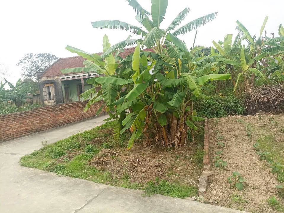 Đất nền góc 2 mặt tiền tại thôn Bùng, Bắc Ninh 100m² - Đường ô tô vào tận đất!