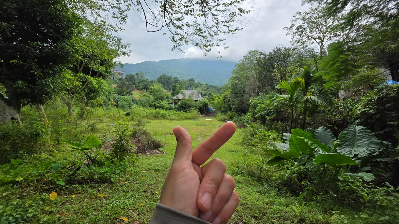 Đất nghỉ dưỡng Tiến Xuân 1682m² - Lưng tựa núi, bám suối, giá tốt!