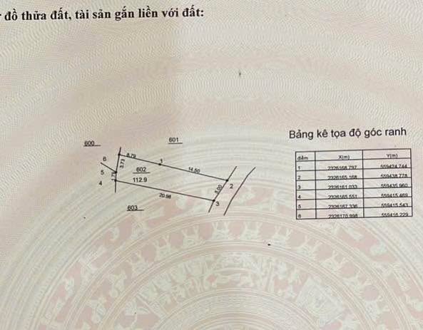 Đất thổ cư 112m² tại Thôn Yên Lạc, Thạch Thất chỉ 3 tỷ - Đầu tư sinh lời lý tưởng!