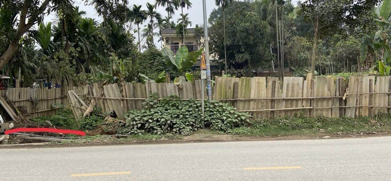 Đất nền mặt đường Nam Cường, TP. Lào Cai 110m² giá chỉ 300 triệu - Cơ hội đầu tư tuyệt vời!