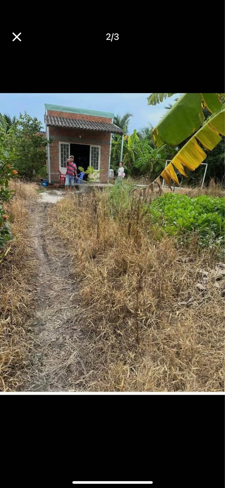 Đất thổ cư An Vĩnh Ngãi, Tân An 286.4m² giá 1.05 tỷ - Pháp lý rõ ràng!