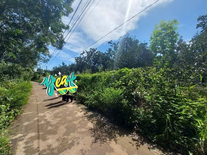 Lô đất Bảo Vinh, Long Khánh 198m² giá 1.15 tỷ - Đầu tư sinh lời ngay!