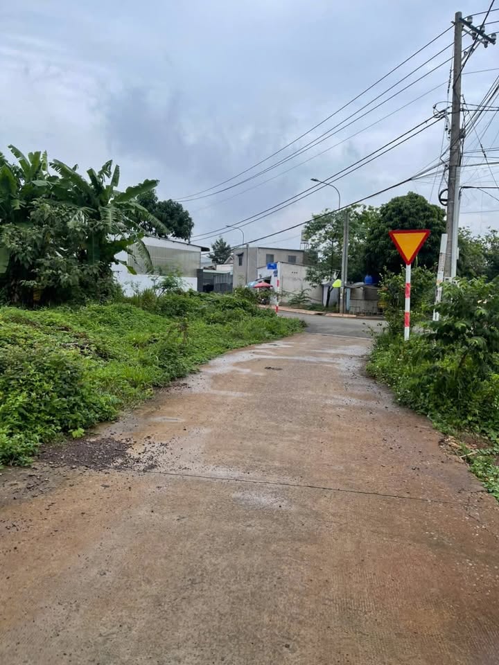 Đất nền Bàu Trâm Long Khánh 256m² giá 1.35 tỷ - Sổ đỏ chính chủ!