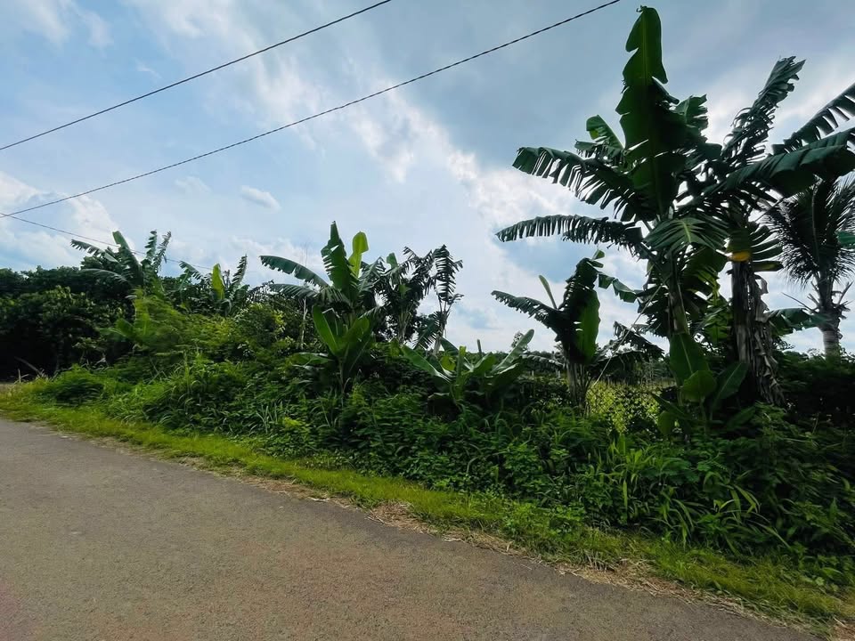 Đất nền 1 sào mặt tiền đường nhựa Bảo Vinh, 1.68 tỷ - Cơ hội đầu tư hấp dẫn!