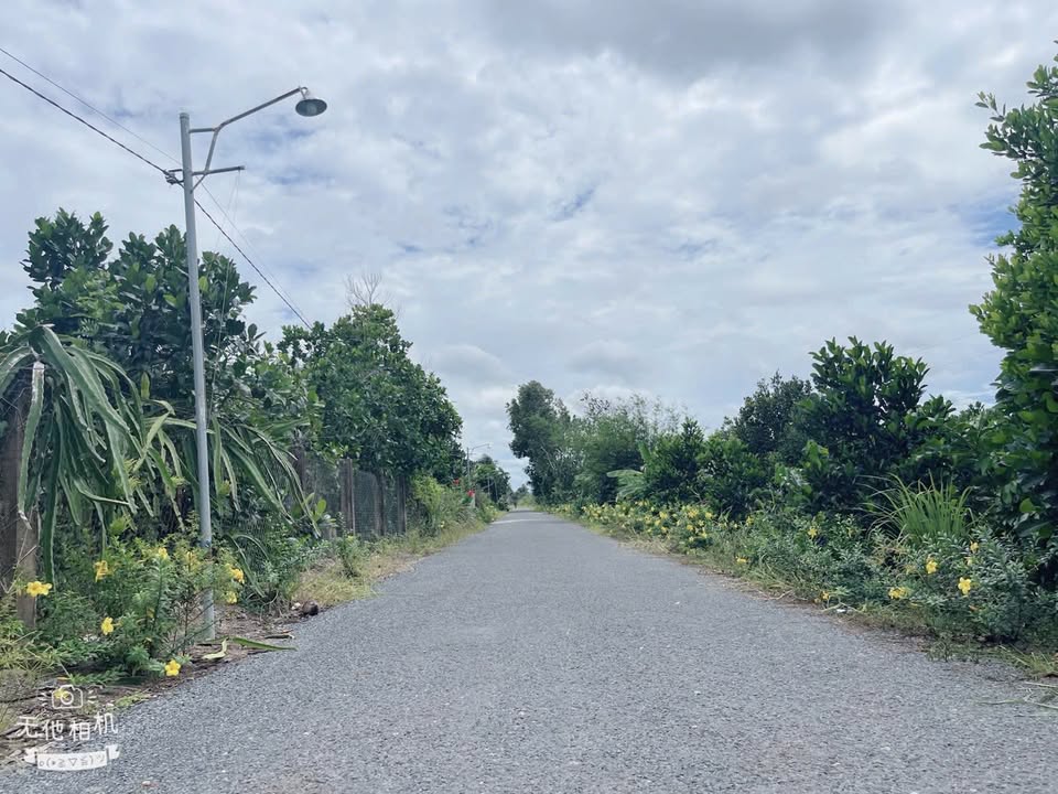 Đất nền Thành Trung, Bình Tân 320m² giá 400 triệu - Cơ hội đầu tư hấp dẫn!