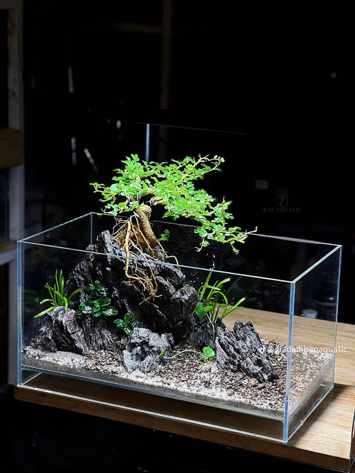 Đất mặt đường Tố Hữu Thái Nguyên 160m² giá 4 tỷ - Dòng tiền ổn định từ cho thuê!