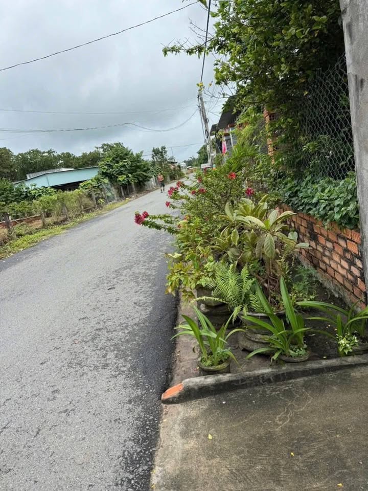 Đất Phước Tân, Xuyên Mộc, BRVT 336m² giá 1.2 tỷ - Lô góc 2 mặt tiền