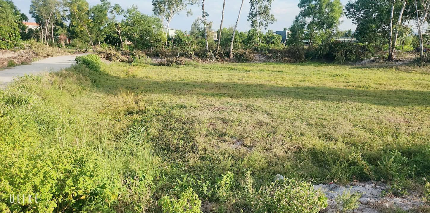 Đất cây hàng năm thôn Thăng Tân 288m² giá chỉ 100 triệu - Cơ hội đầu tư tuyệt vời!