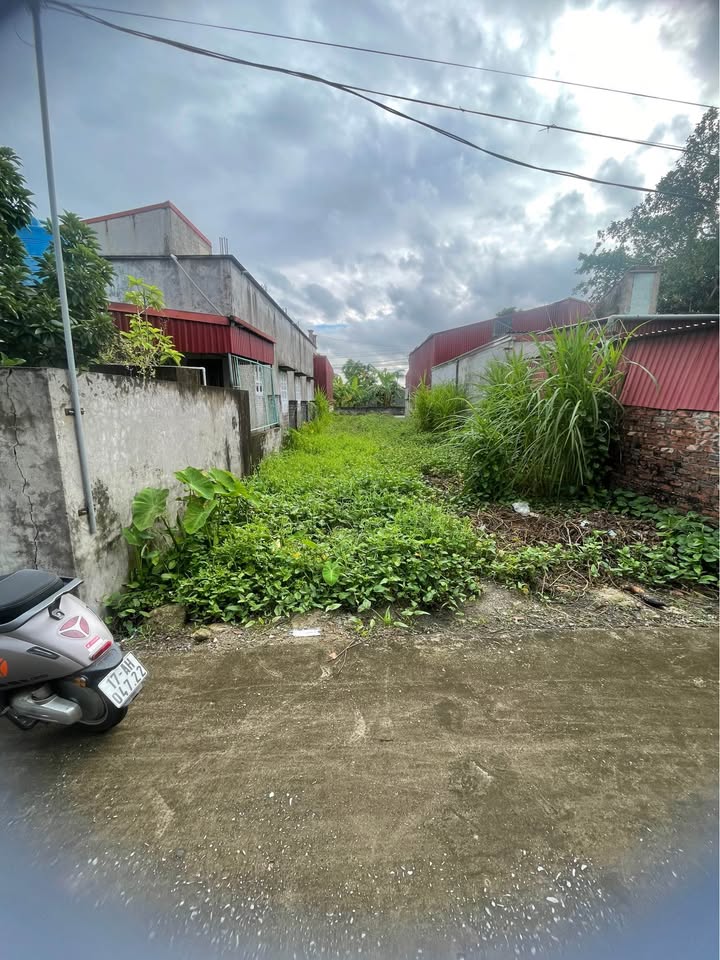 Đất chính chủ bán tại xã Đông Thái Ninh 126,1m² giá 1,55 tỷ - Vị trí đắc địa thuận tiện kinh doanh!