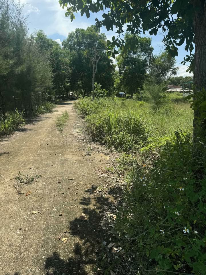 Đất nền thổ cư Gio Hải 177m² giá thỏa thuận - Gần biển, ô tô vào tận nơi!