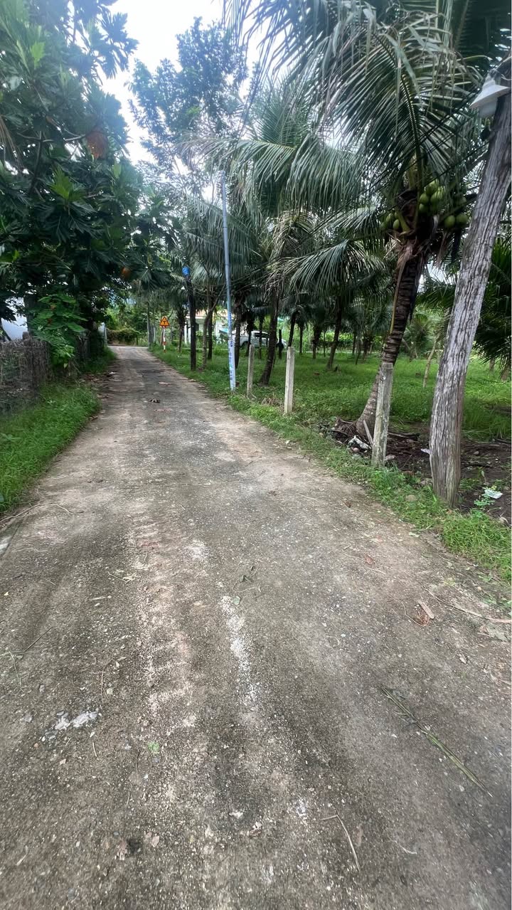 Đất Diên Phước Diên Khánh 160m² giá chỉ 820 triệu - Sổ đỏ chính chủ