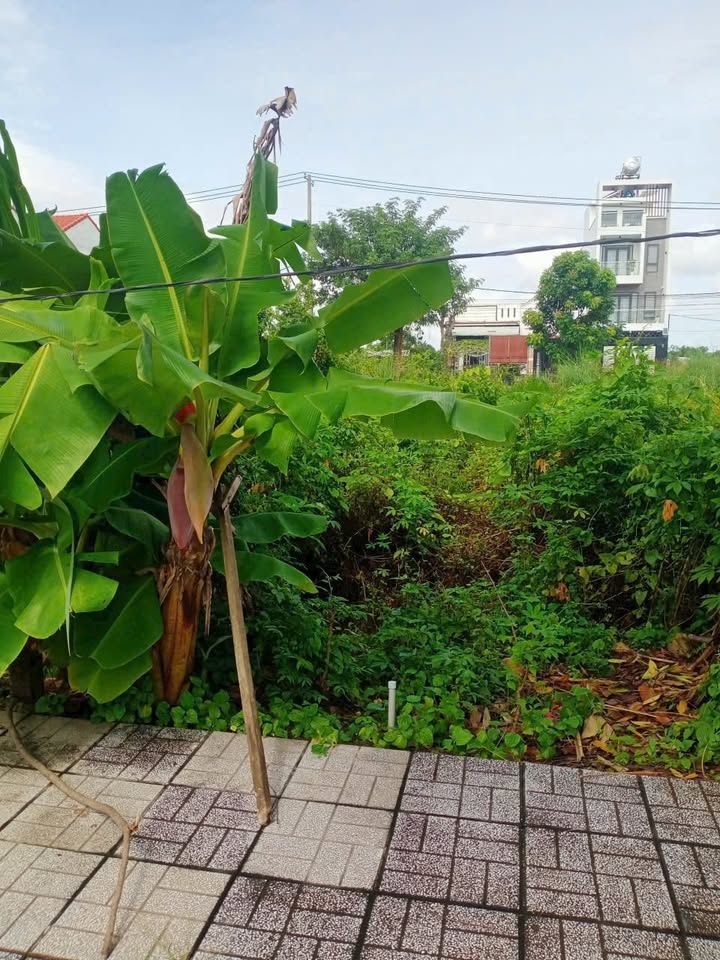 Lô đất đẹp tại xã Đức Lập Hạ, Đức Hòa 76m² giá 1,1 tỷ - Tiềm năng đầu tư tuyệt vời!