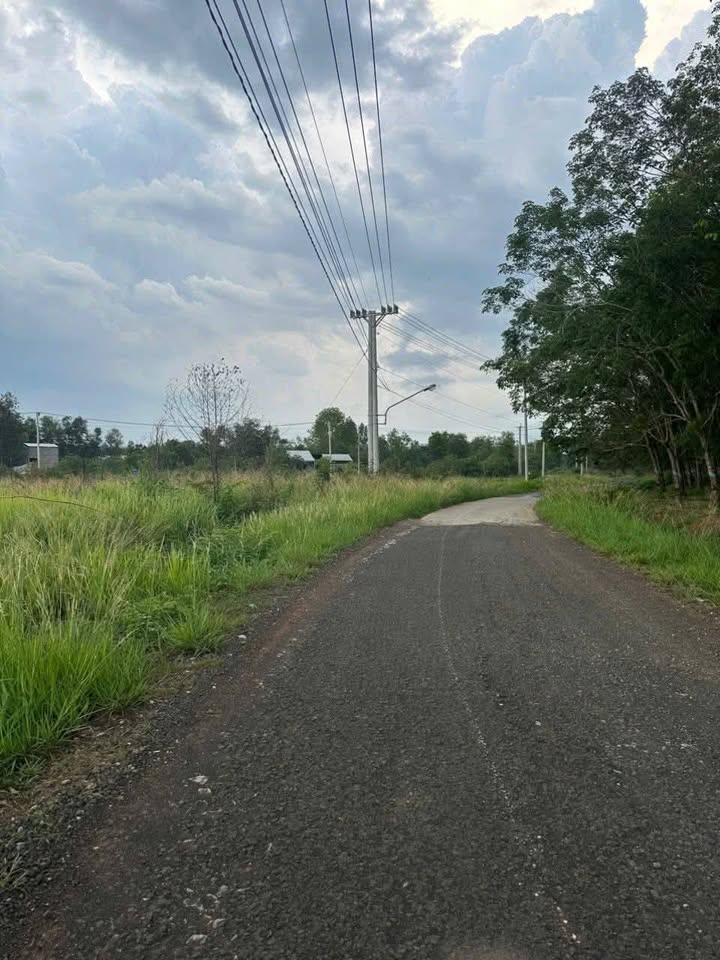 Đất nền Tân Hưng Đồng Phú 300m² giá 400 triệu - Mặt tiền đường nhựa thuận tiện!