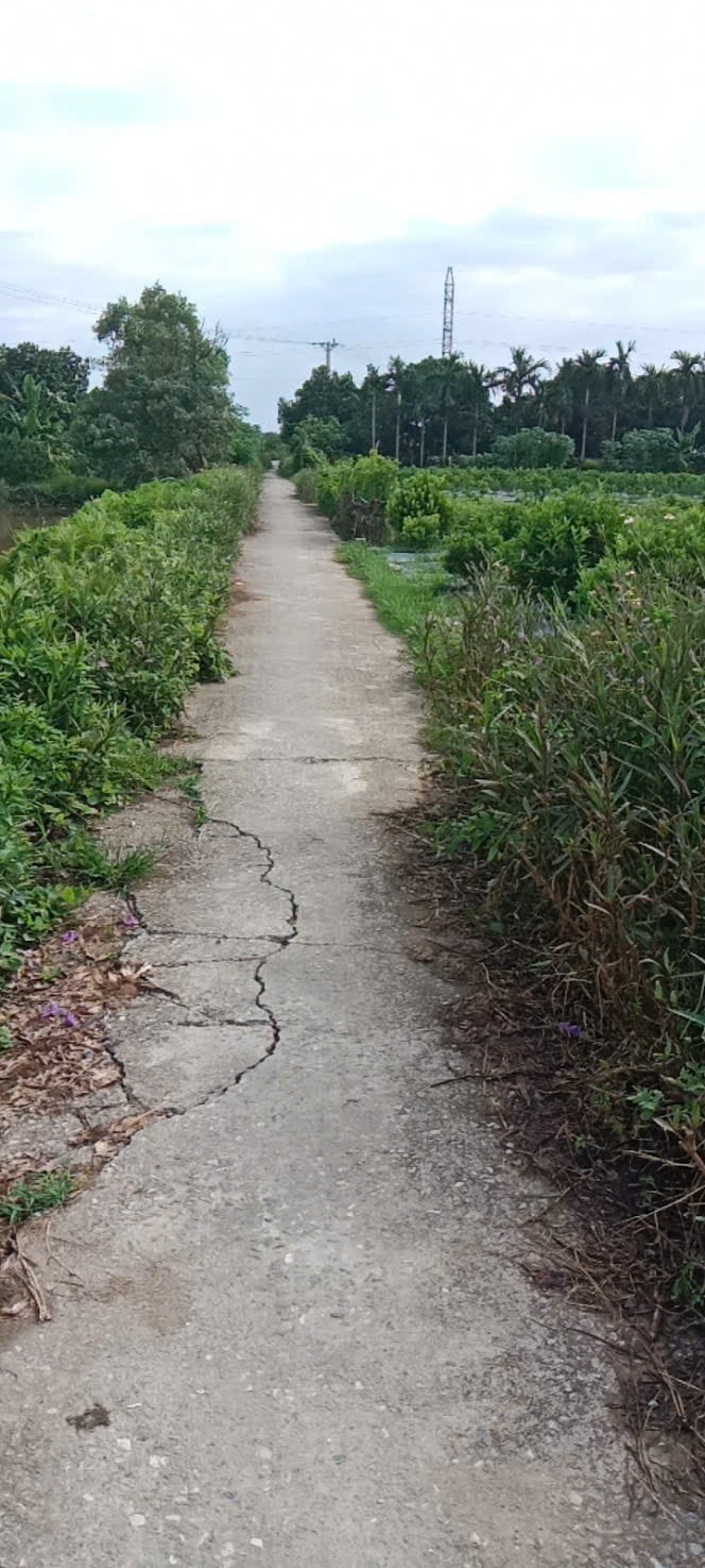 Đất nền Minh Thuận Vụ Bản 180m² giá 800 triệu - Vị trí phong thủy đẹp!