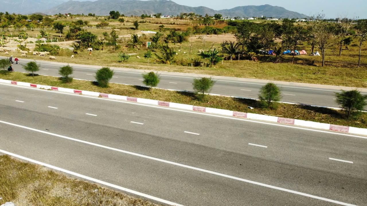 Đất nông nghiệp mặt tiền đường Tân Sơn, Ninh Thuận 10.000m² - Giá bán nhanh chỉ 4 tỷ!