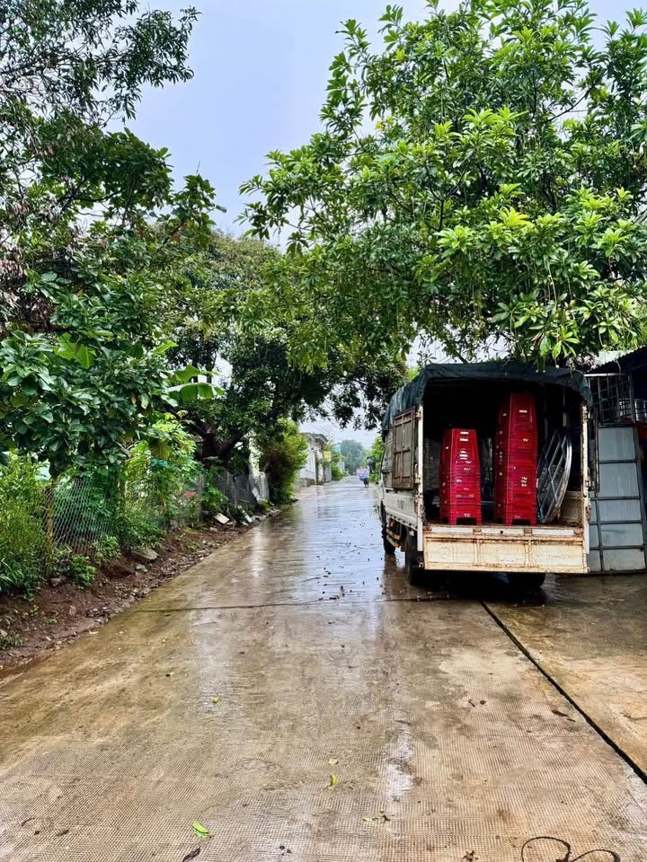 Đất nền Lê Thị Hồng Gấm, Pleiku 145m² giá 1.4 tỷ - Đường ô tô tránh nhau, xây nhà ngay!