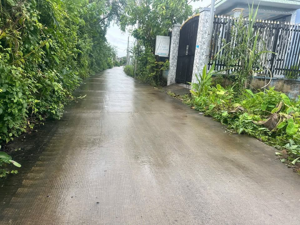 Đất thổ cư mặt tiền Đan 3, xã Long Thượng, Cần Giuộc - Diện tích 543m², giá 3.801 tỷ!