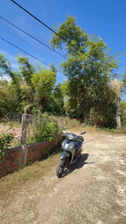 Đất nền Phù Cát 162m² giá 300 triệu - Đường ô tô vào tận nơi!